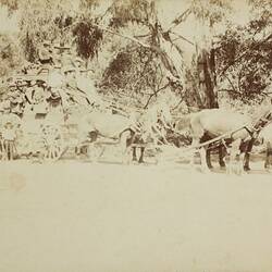 Photograph - Horse Drawn Coach