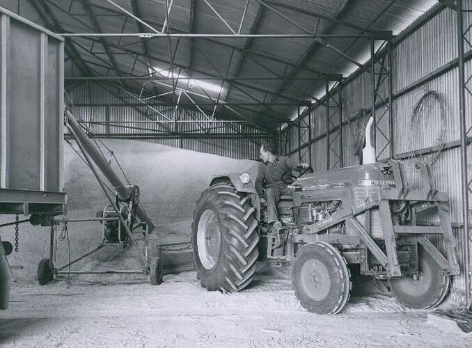 A man is driving a tractor in a shed filled with grain.