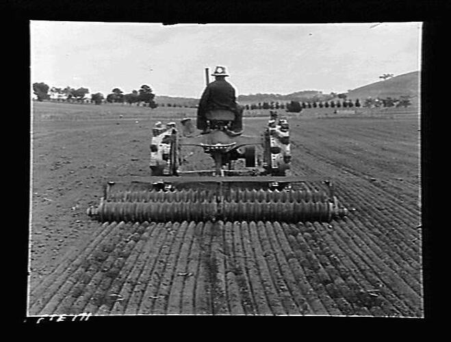 "INTERNATIONAL HARVESTER"