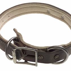 Brown leather dog collar with a metal name plate.