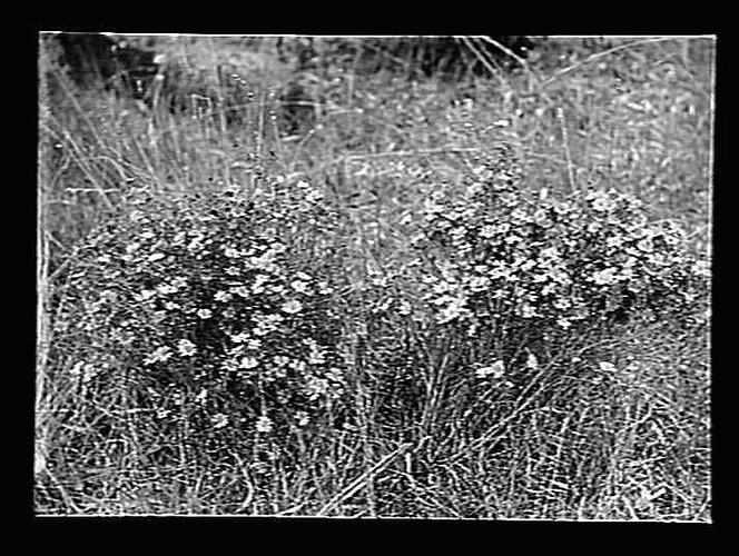Negative - Glass