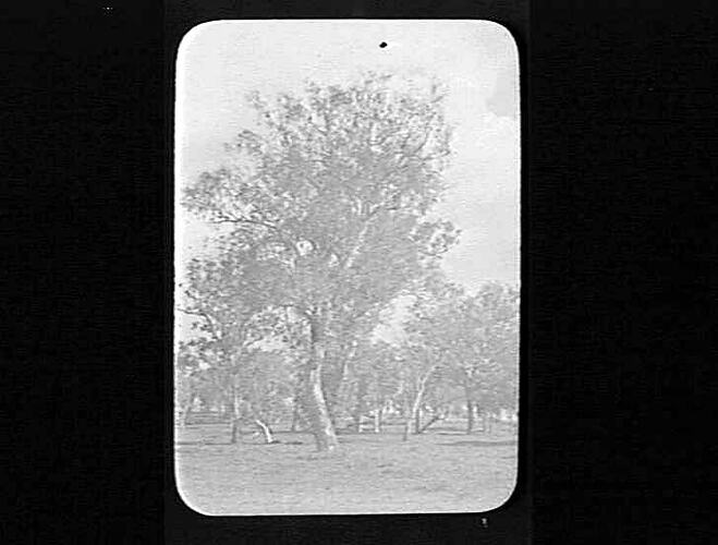 Lantern Slide