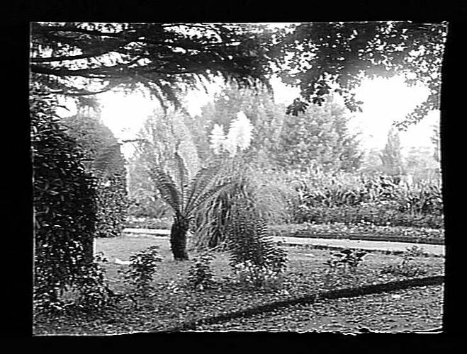 Negative - Glass