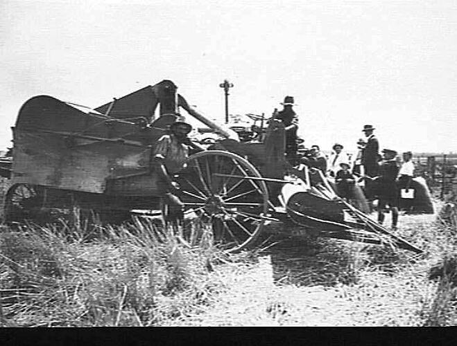 2 AUTO HEADERS WORKING ON MR. B. D. RIORDAN'S FARM, GUNNEDAH, N.S.W.: CROP 10 BAGS PER ACRE: OCT 1928