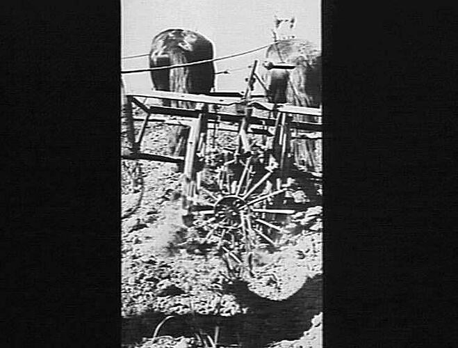 A `SUNROTOR' WORKING IN QUEENSLAND: 1929