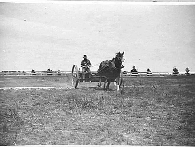 A SUNSHINE MANURE SPREADER AT WORK: 1932