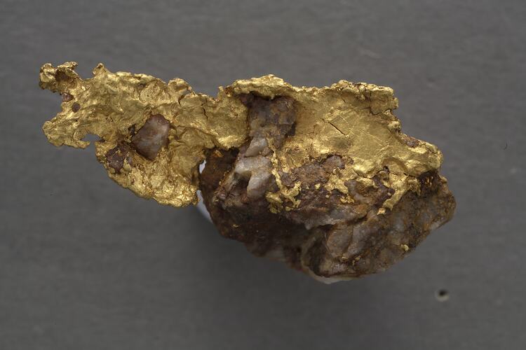Gold. [M 23036]