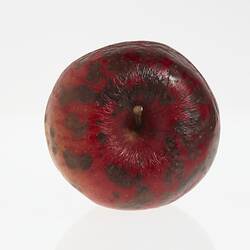 Wax model of an apple painted dark red, with brown stem. Has brown round spots. Top view.