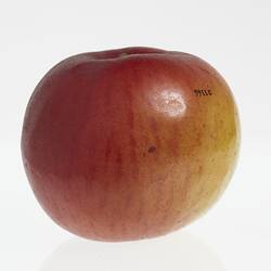 Wax model of an apple painted red with some yellow.