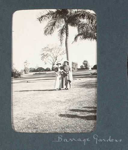 Two nurses in park under palm tree.