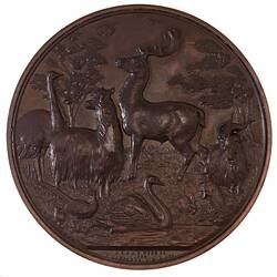 Medal - Acclimatisation Society of Victoria Bronze, 1868
