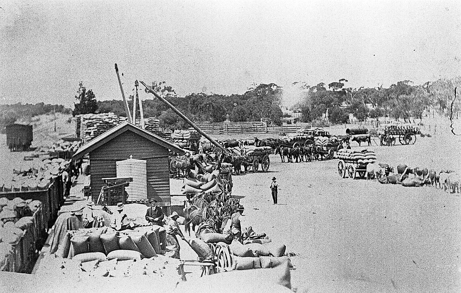 Negative - Sea Lake, Victoria, circa 1905