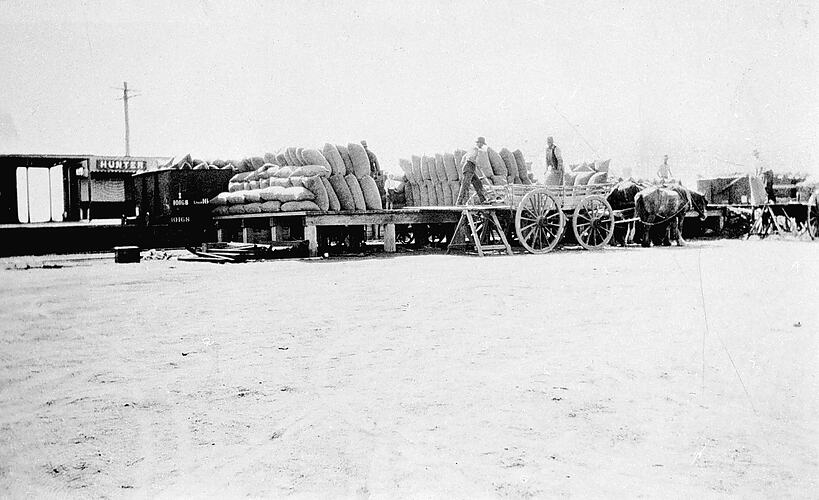 Unloading grain, Hunter Station, circa 1928.