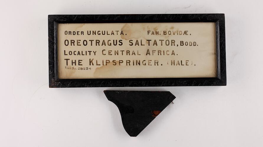 Rectangular black framed label with black text on cream card.