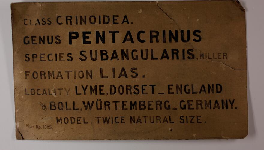 Brown rectangular label with black hand painted text.