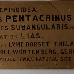 Brown rectangular label with black hand painted text.