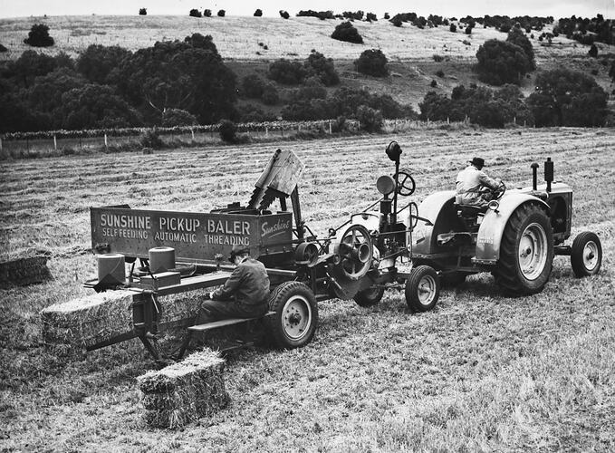 NO. 262. BALING LUCERNE HAY ON MR. ROBERT GREEN'S PROPERTY,