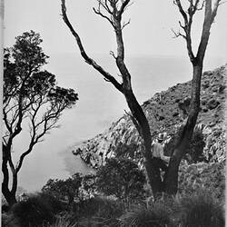 Photograph - by A.J. Campbell, Cape Woolamai, Phillip Island, Victoria, Nov 1895