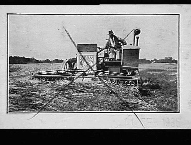Photograph - H. V. McKay factory and/or equipment