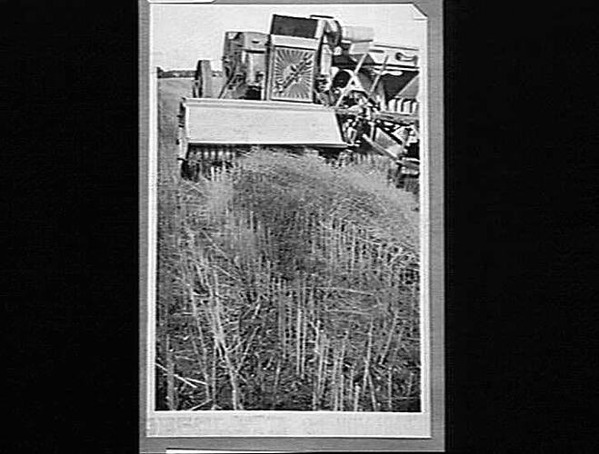 Photograph - H. V. McKay factory and/or equipment