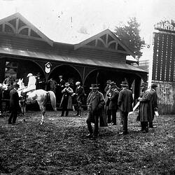 Negative - Casterton Racecourse, Victoria, circa 1915