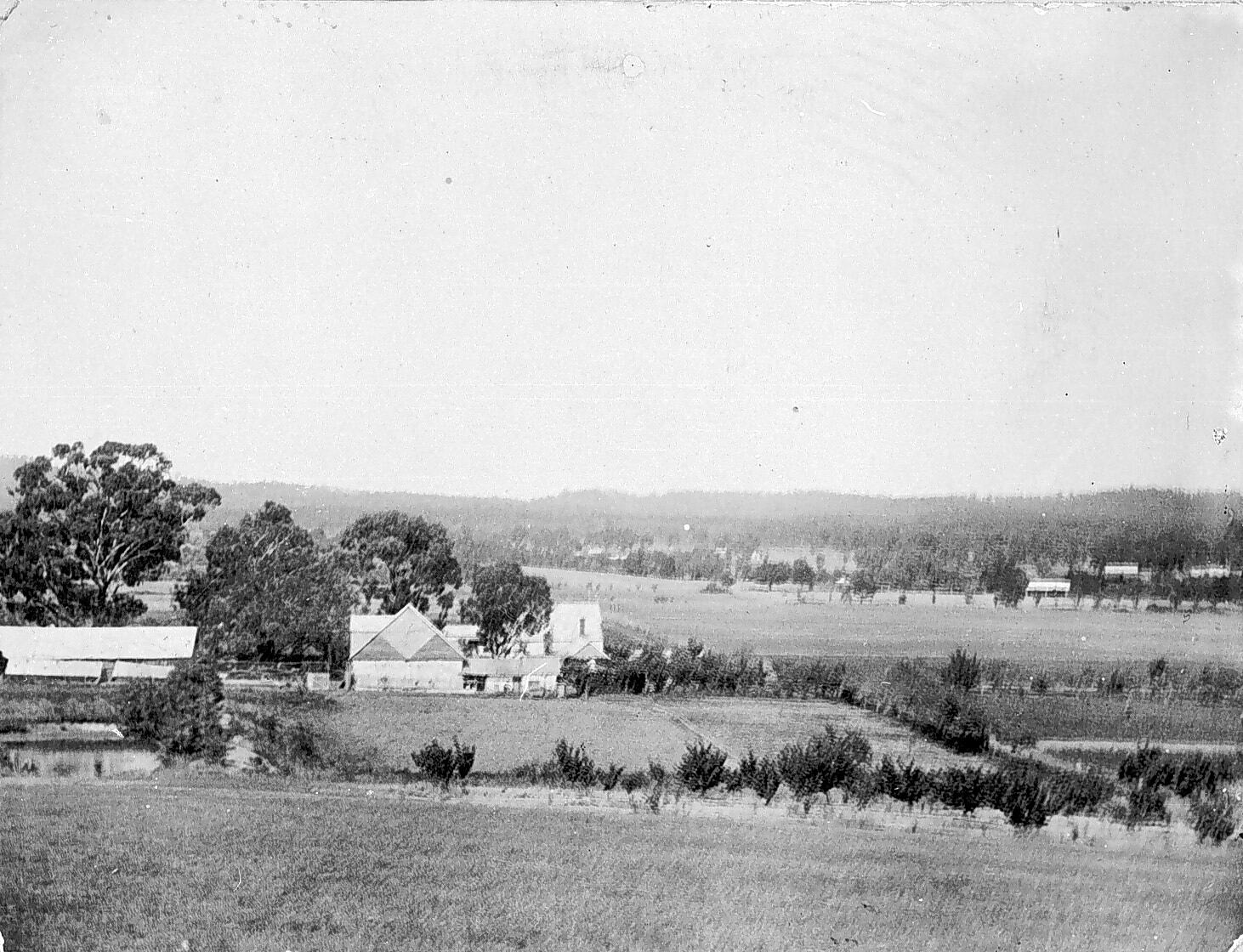 Negative 'Arallien' Farm, Big Hill, Bendigo, Victoria, 1910