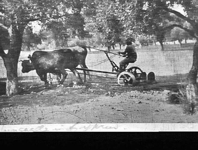Photograph - H. V. McKay factory and/or equipment