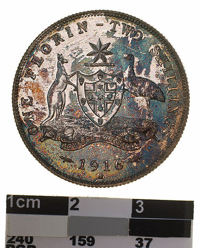 Proof Coin - Florin (2 Shillings), Specimen Strike, Australia, 1916, photographed by Museums Victoria