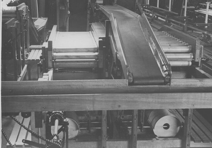 Photograph - Fruit sorting machine under production