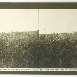 Rose Stereograph - 'The Great War. German Barbed Wire Entanglements'