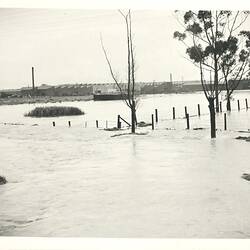 Photograph - H.V McKay Massey Harris, Factory Flood Damage from Ballarat Road, Sunshine, Victoria, 1946
