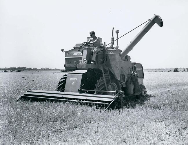 Man driving a harvester fitted with a comb front in field.