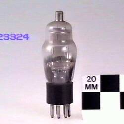 Vacuum Tube
