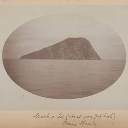 Photograph - Curtis Island, Bass Strait, 1893