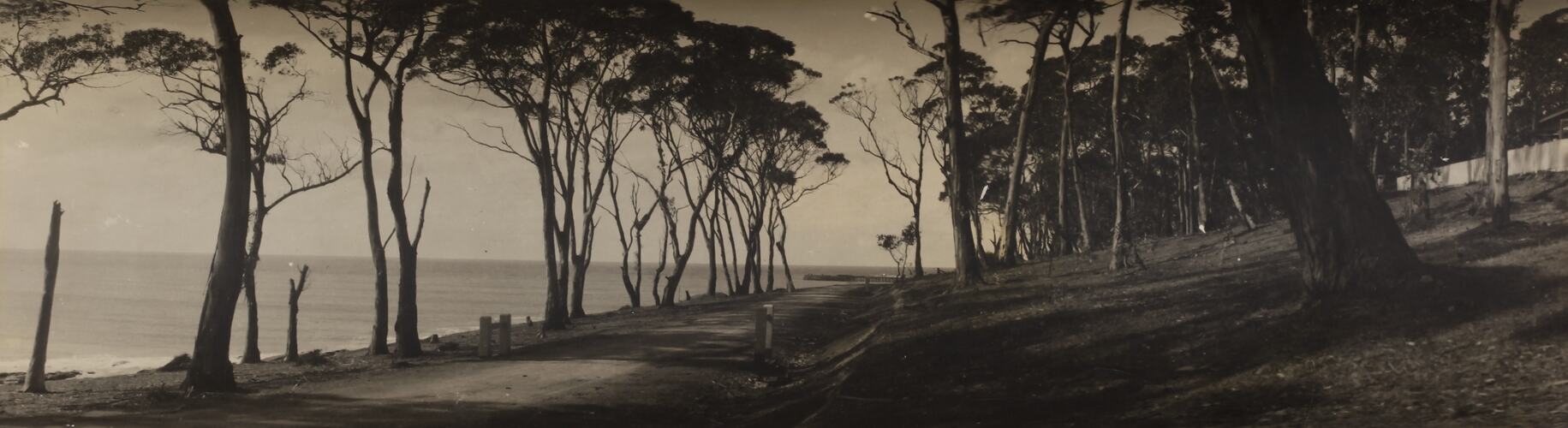 Photograph - Coastal Landscape, Lorne, Victoria, circa 1920s