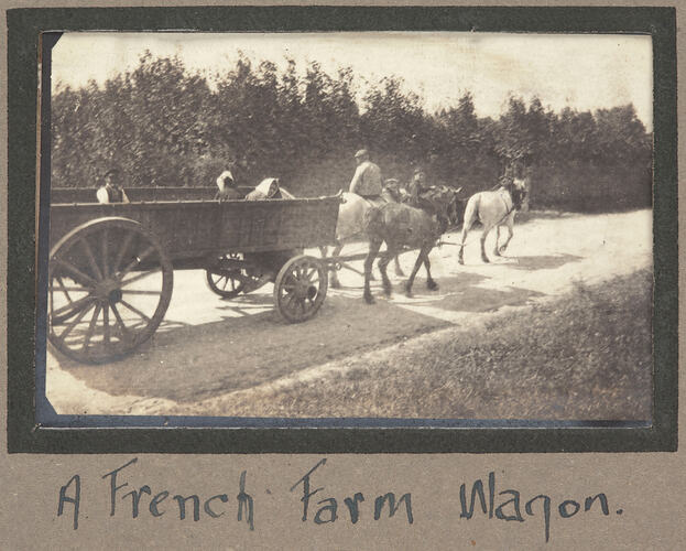 People riding in a horse drawn cart on a tree lined dirt road.