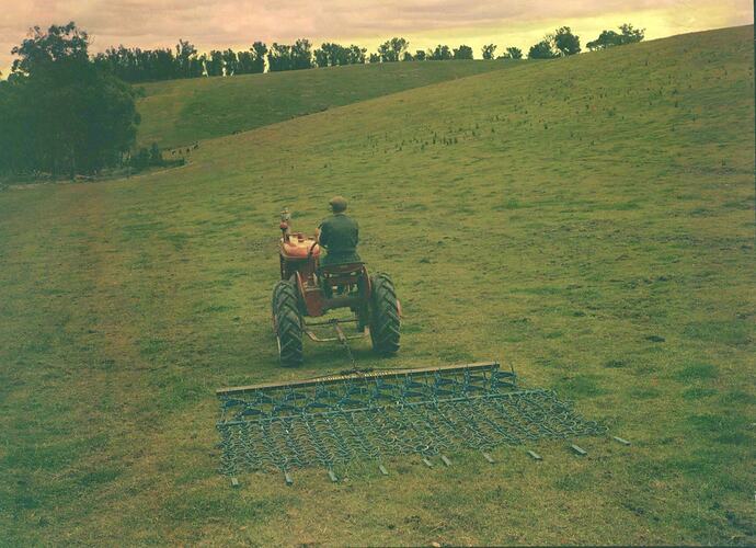 Farmall A, J. Wilson, Lilydale