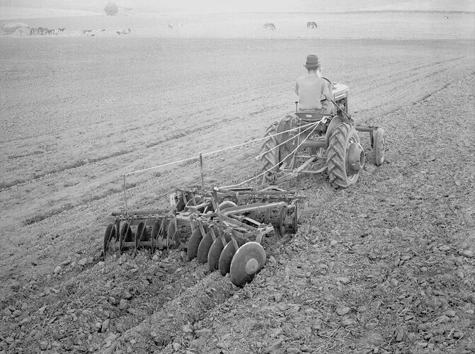 Farmall A Tractor & GL-9A, Bell Post Hill