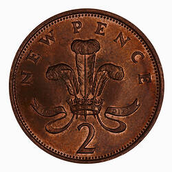Coin - 2 New Pence, Elizabeth II, Great Britain, 1981 (Reverse)