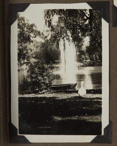 Botanical Gardens, Nantes, France, 1927