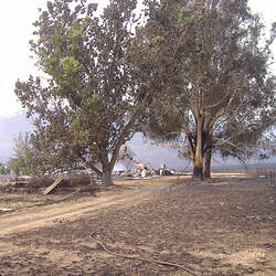 Digital Photograph - Burnt Sheds & Cattle Yards, Black Saturday Bushfires, Rosewhite, Victoria, 9 Feb 2009