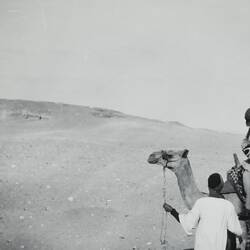 Photograph - Isabel Plante Riding a Camel, Sakkara, Egypt, World War II, 1939-1943