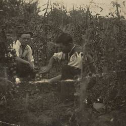Digital Photograph - Two Men & Tomato Plants, Bonegilla Migrant Reception and Training Centre, 1950