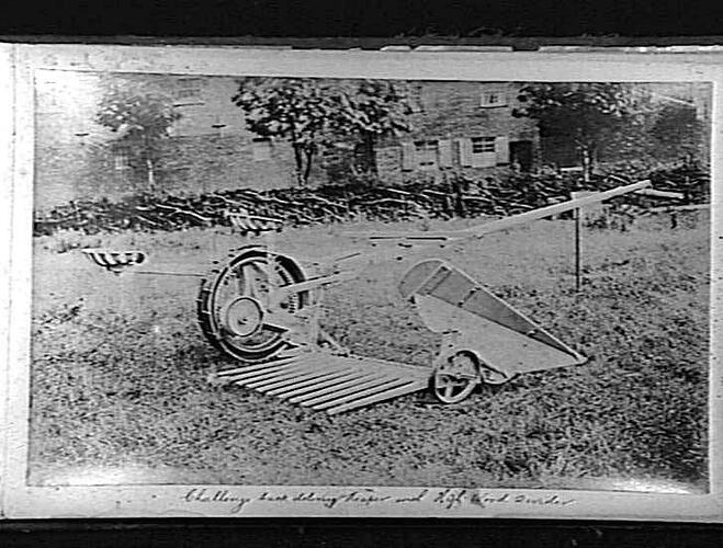 Photograph