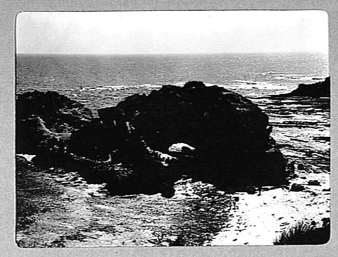 Photograph