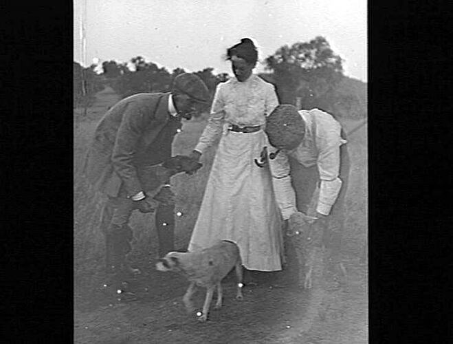 Negative - Three People with Dogs and a Lamb, Mardie Station