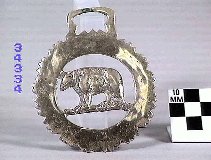 Horse Brass Bear, 18251939