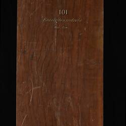 Timber Sample - Red Gum, Eucalyptus camaldulensis, Victoria, 1885