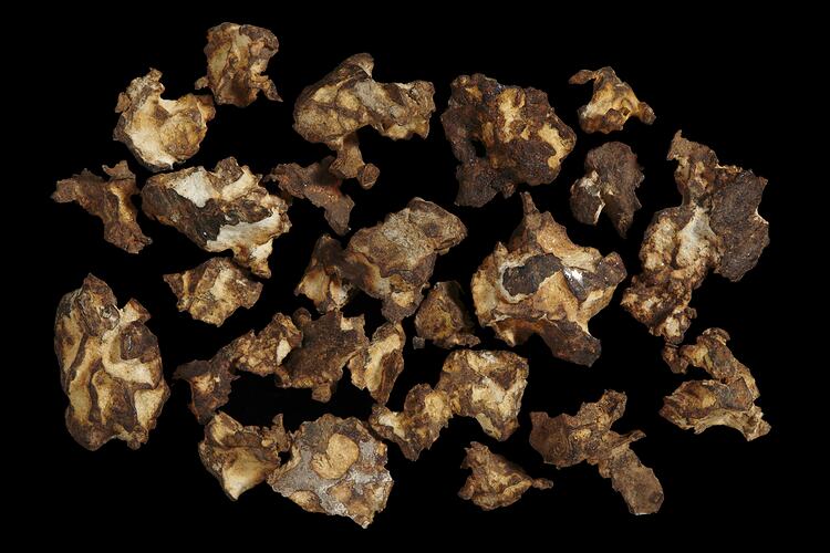 Imilac Meteorite. [E 11412]