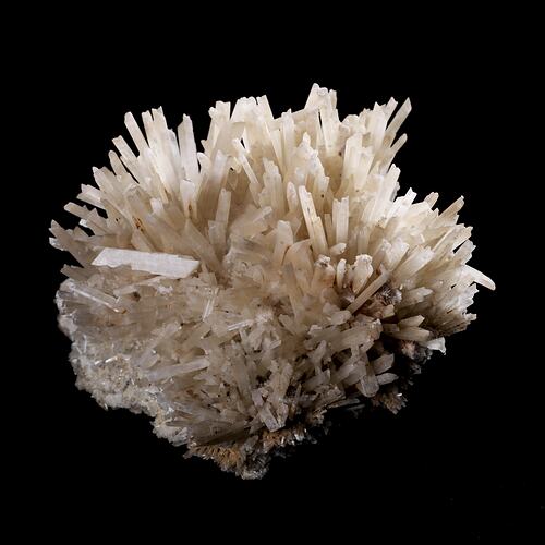 Manywhite crystals radiating from a central point.